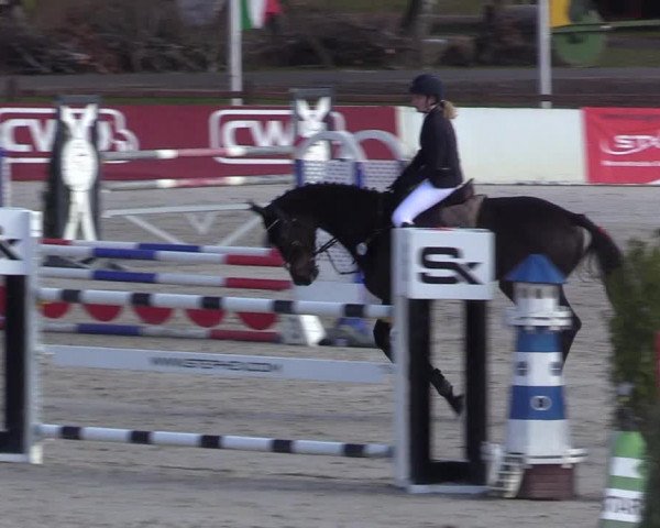 Reitturnier Westergellersen 2021