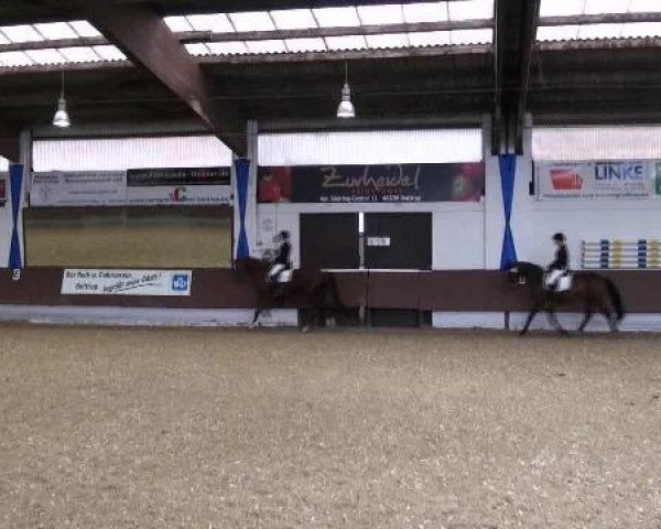 dressage horse Fortuna M (Hanoverian, 1993, from Frappant)