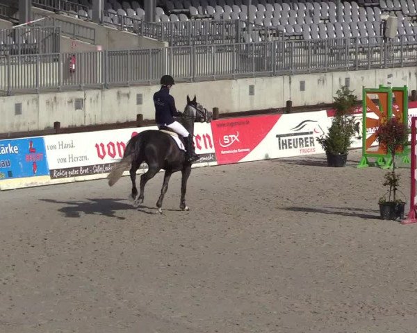Reitturnier Westergellersen 2021