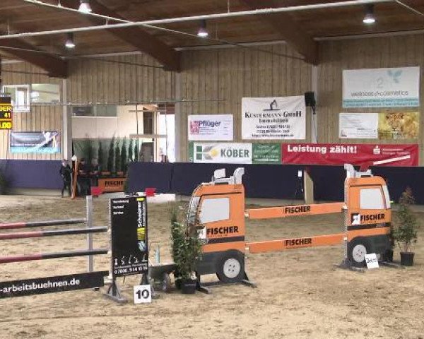 jumper Bjerglunds Caruso (Holsteiner, 2004, from Coronado I)
