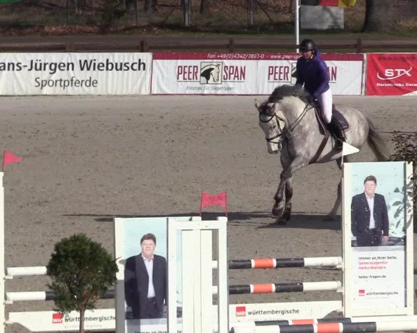 Reitturnier Westergellersen 2021