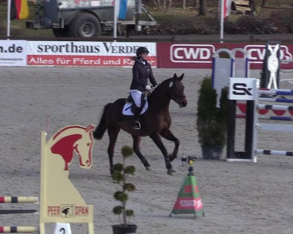 Reitturnier Westergellersen 2021