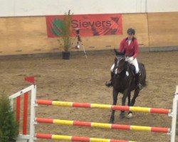jumper Bel Etage (Holsteiner, 2005, from Cartani 4)