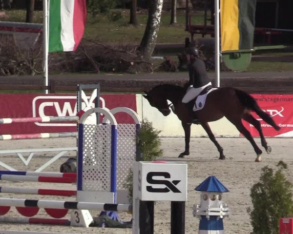 Reitturnier Westergellersen 2021