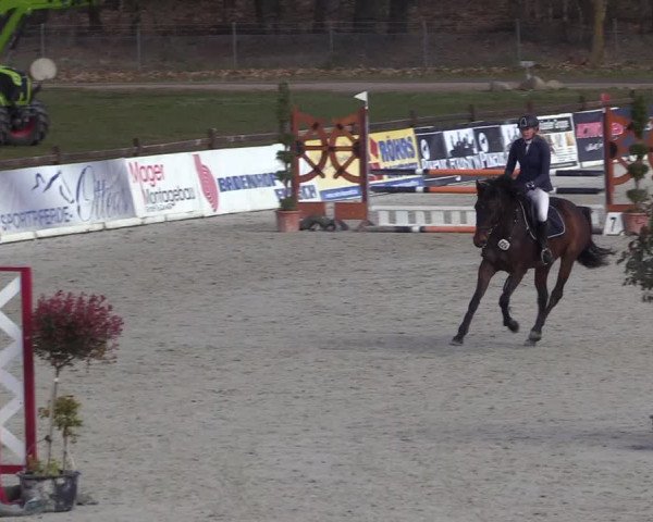 Reitturnier Westergellersen 2021