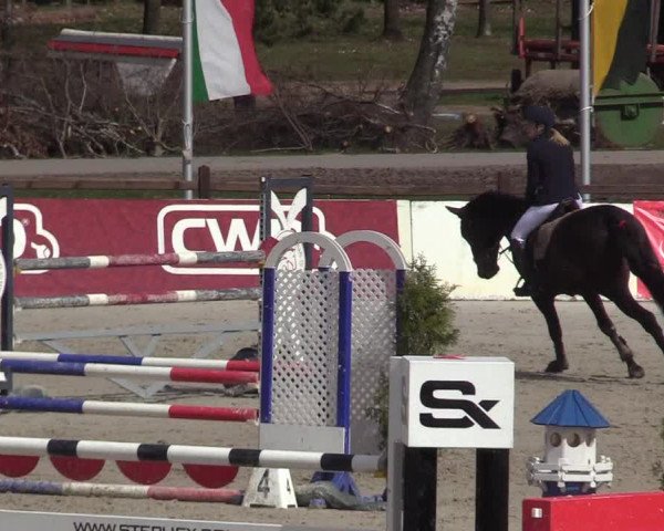 Reitturnier Westergellersen 2021