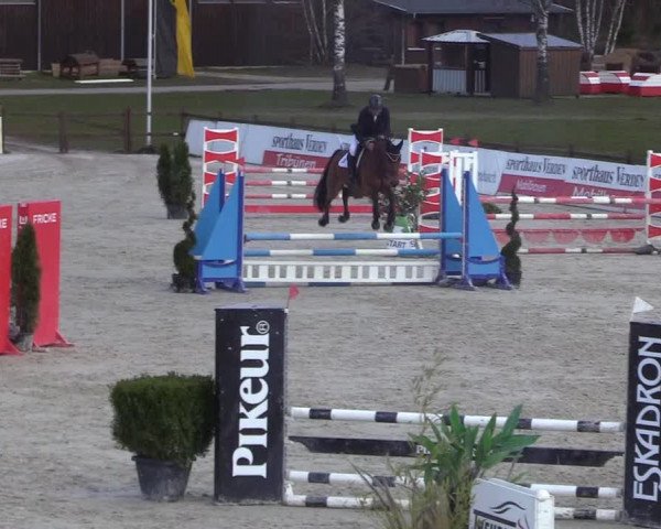 Reitturnier Westergellersen 2021