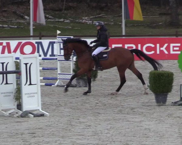 Reitturnier Westergellersen 2021