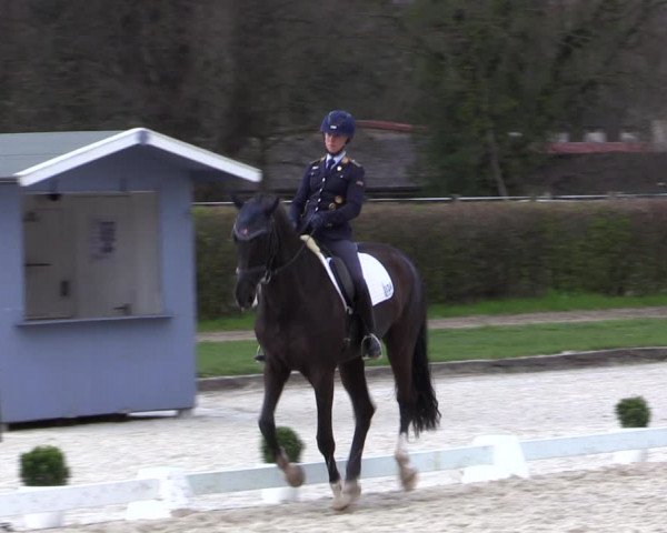 Reitturnier Münster-Handorf 2021