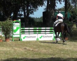 jumper Zitah (Holsteiner, 2007, from Colman)