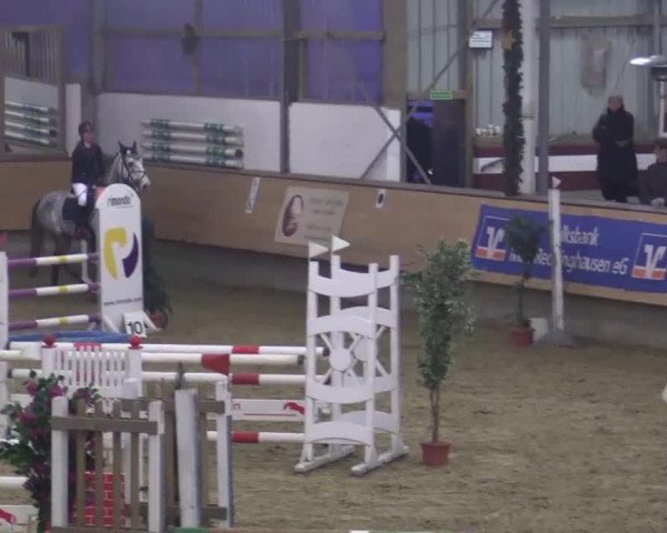 jumper Captain Bob (Holsteiner, 2008, from Cassin 2)