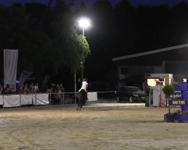 jumper Renomee (Holsteiner, 2001, from Rheinsberg)