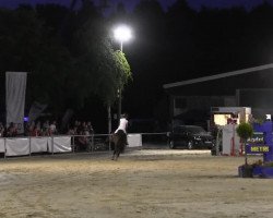 jumper Renomee (Holsteiner, 2001, from Rheinsberg)