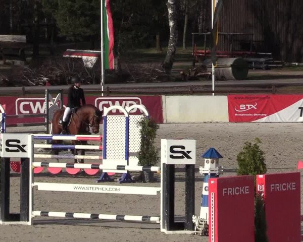 Reitturnier Westergellersen 2021