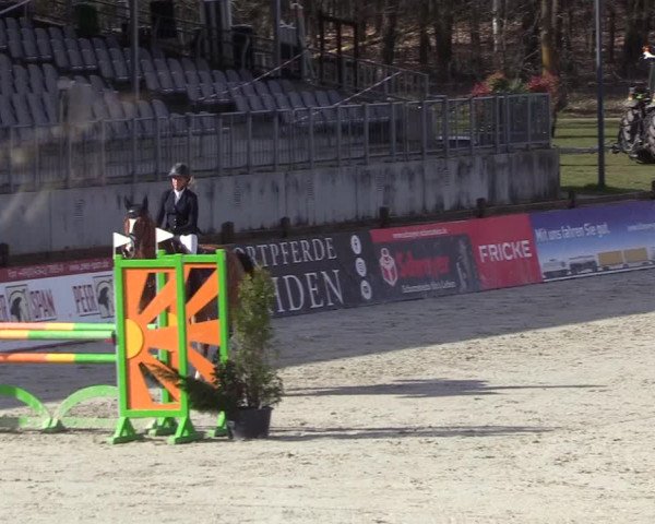Reitturnier Westergellersen 2021