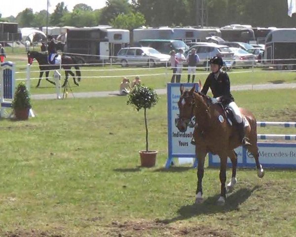 broodmare Wanskjaer's Tiffany (Holsteiner, 2003, from Cash and Carry)