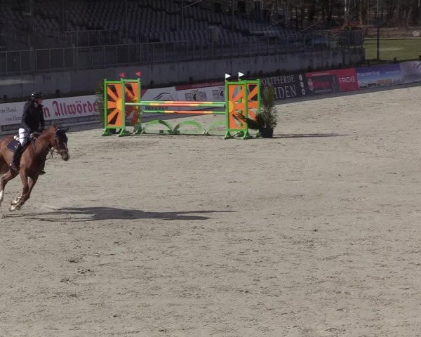 Reitturnier Westergellersen 2021