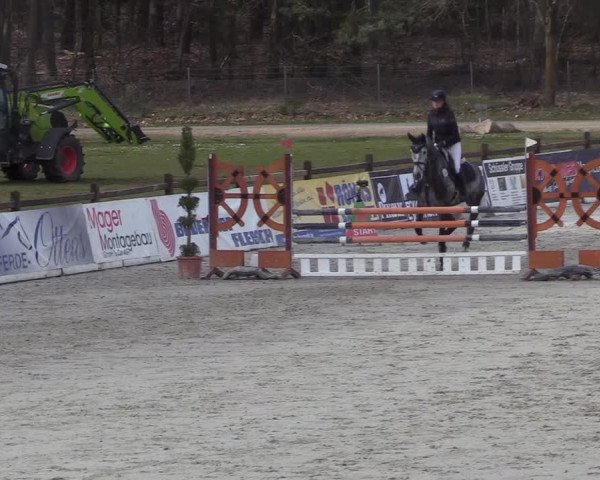 Reitturnier Westergellersen 2021