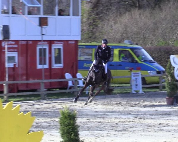 Reitturnier Münster-Handorf 2021
