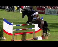 jumper Udermus (KWPN (Royal Dutch Sporthorse), 2001, from Odermus R)