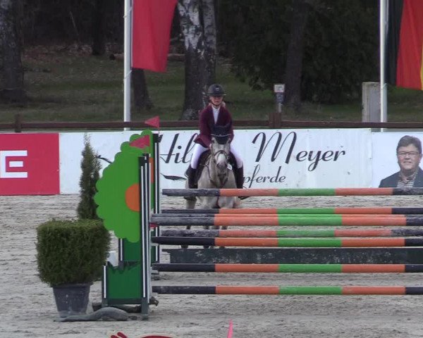 Reitturnier Westergellersen 2021