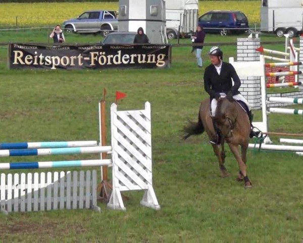 jumper Cannavaro W (Holsteiner, 2006, from Concetto)
