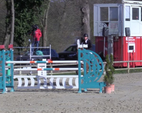 Reitturnier Münster-Handorf 2021