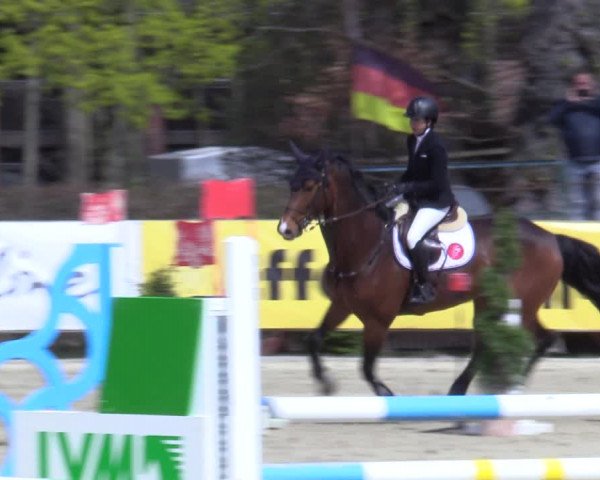 Reitturnier Münster-Handorf 2021
