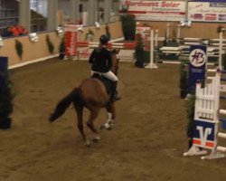 jumper Quito de Bussy (Oldenburg, 2003, from Quattro B)