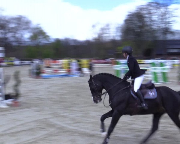 Reitturnier Münster-Handorf 2021