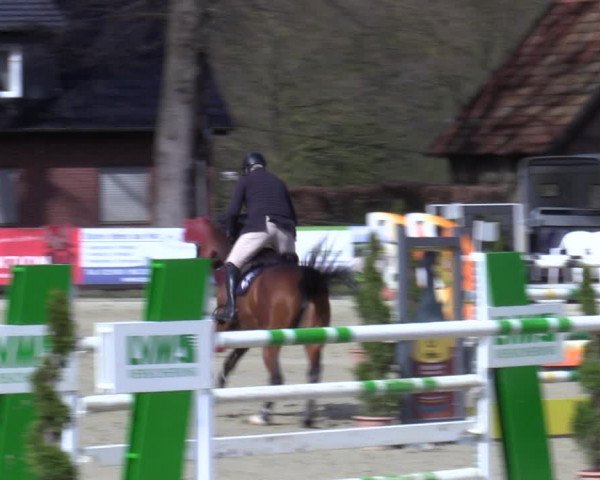 Reitturnier Münster-Handorf 2021