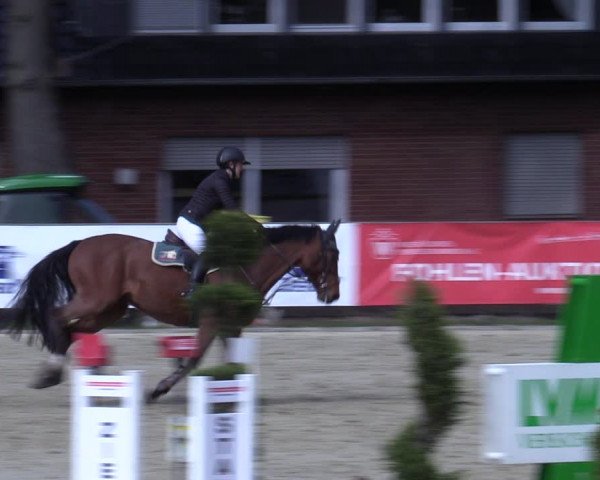 Reitturnier Münster-Handorf 2021