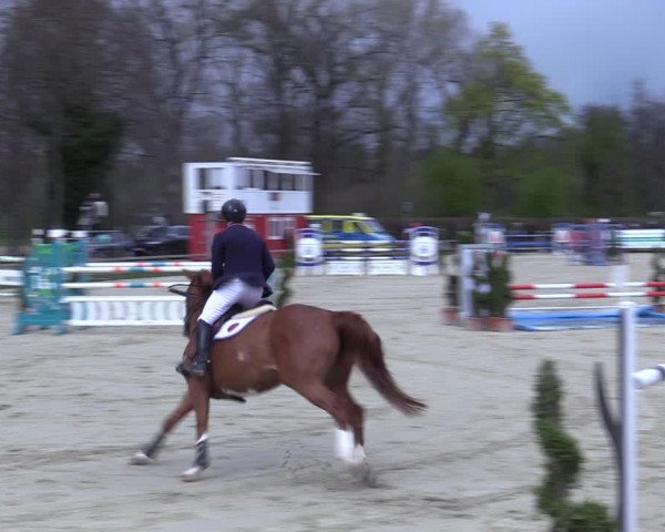 Reitturnier Münster-Handorf 2021