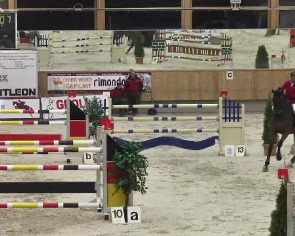 jumper Co Jack (Danish Warmblood, 2003, from Come Back II)
