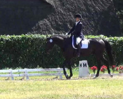 dressage horse Lennon 27 (Hanoverian, 2001, from Latimer)