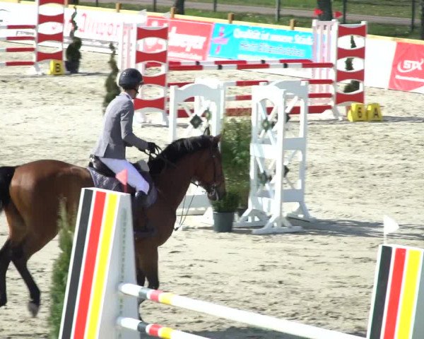 FEI Reitturnier Westergellersen (GER) 2021