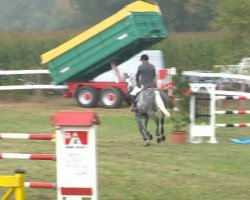 broodmare Up and Away 4 (Holsteiner, 2004, from Colman)