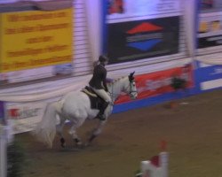 jumper Little Spirit 2 (Oldenburg, 2000, from Landsieger I)