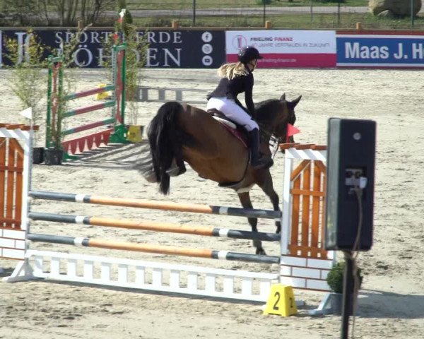 FEI Reitturnier Westergellersen (GER) 2021