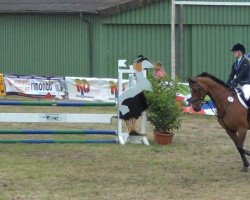 broodmare Pauline 249 (Holsteiner, 2000, from Candillo Z)