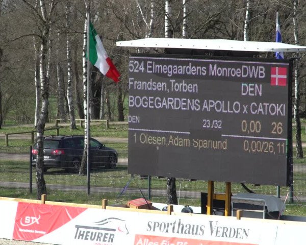 FEI Reitturnier Westergellersen (GER) 2021