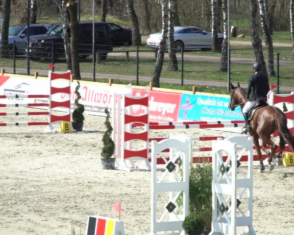 FEI Reitturnier Westergellersen (GER) 2021