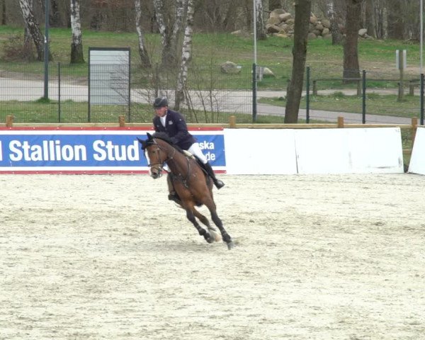 FEI Reitturnier Westergellersen (GER) 2021