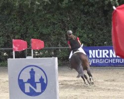 broodmare Jeruscha (Pony without race description, 1997, from Unbekannt Pony)