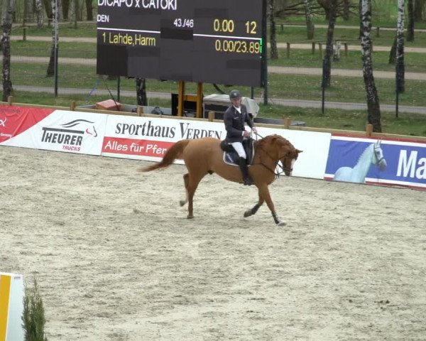 FEI Reitturnier Westergellersen (GER) 2021
