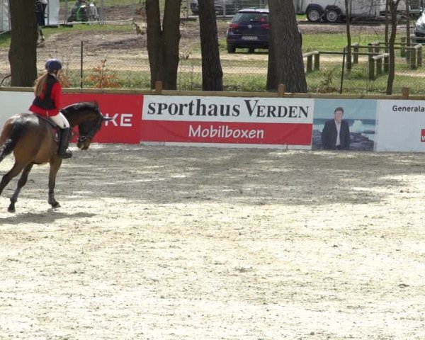 FEI Reitturnier Westergellersen (GER) 2021