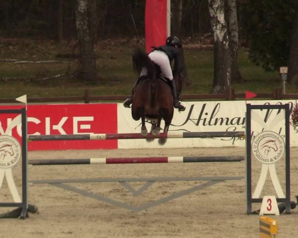 FEI Reitturnier Westergellersen (GER) 2021
