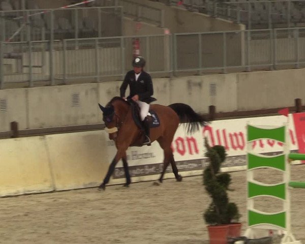 FEI Reitturnier Westergellersen (GER) 2021