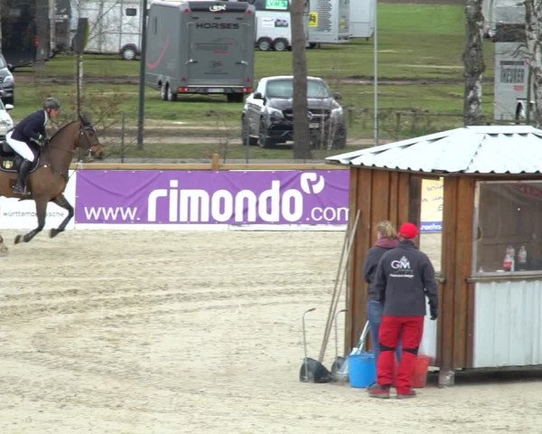 FEI Reitturnier Westergellersen (GER) 2021