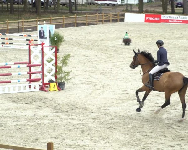 FEI Reitturnier Westergellersen (GER) 2021